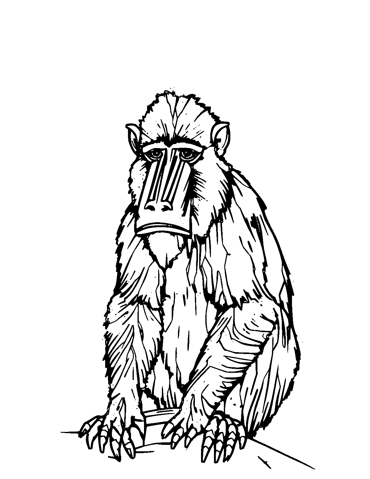 Line-art coloring page of Mandrill, medium outlines, centered