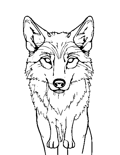Maned Wolf