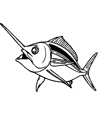 Marlin