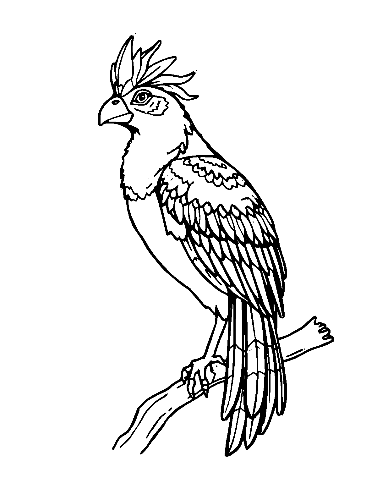 Line-art coloring page of Mayan Feathered Quetzal Bird, medium outlines, centered