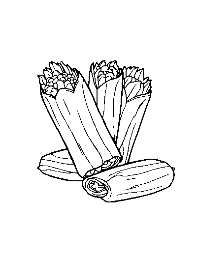 Mexican Tamales