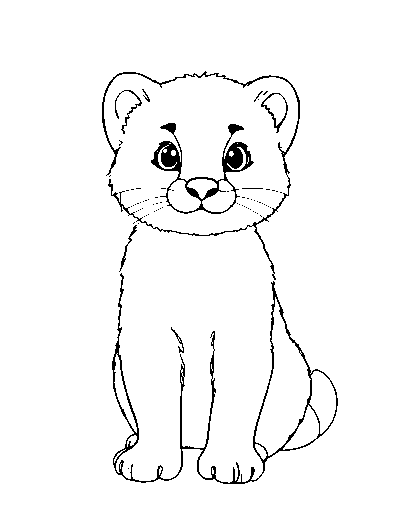 Mink