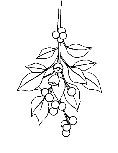 Mistletoe