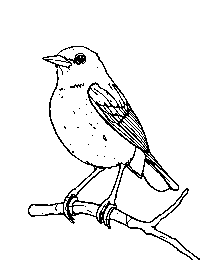 Mockingbird