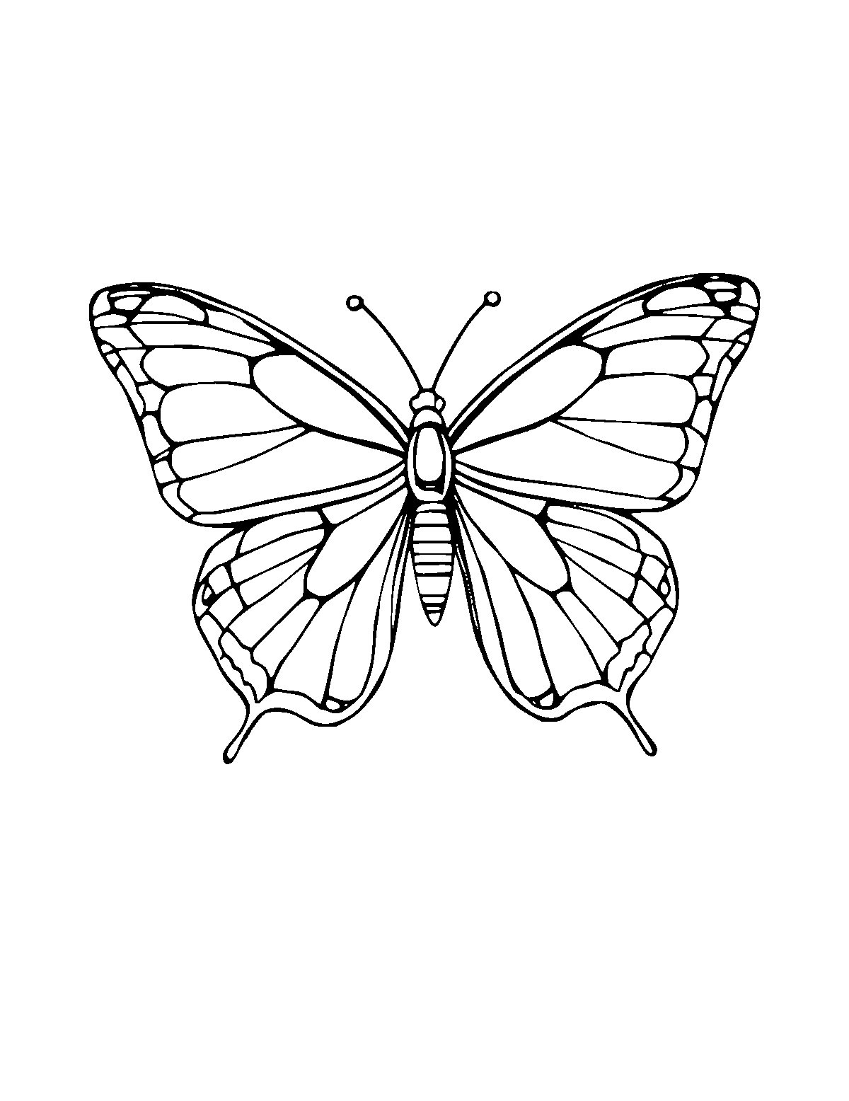Line-art coloring page of Morpho Butterfly, medium outlines, centered