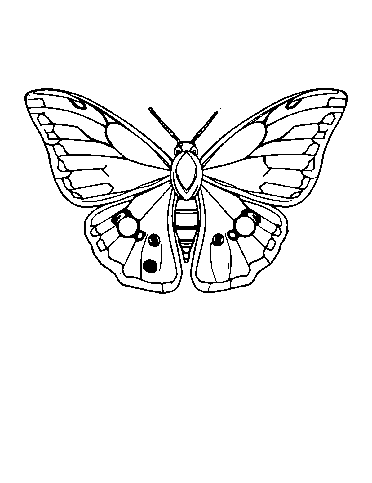 Line-art coloring page of Moth, medium outlines, centered