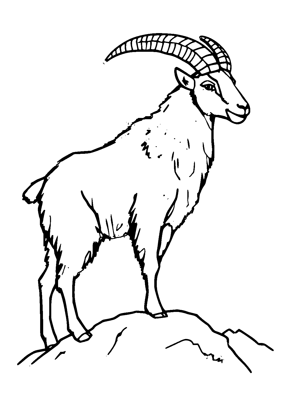 Line-art coloring page of Mountain Goat, medium outlines, centered