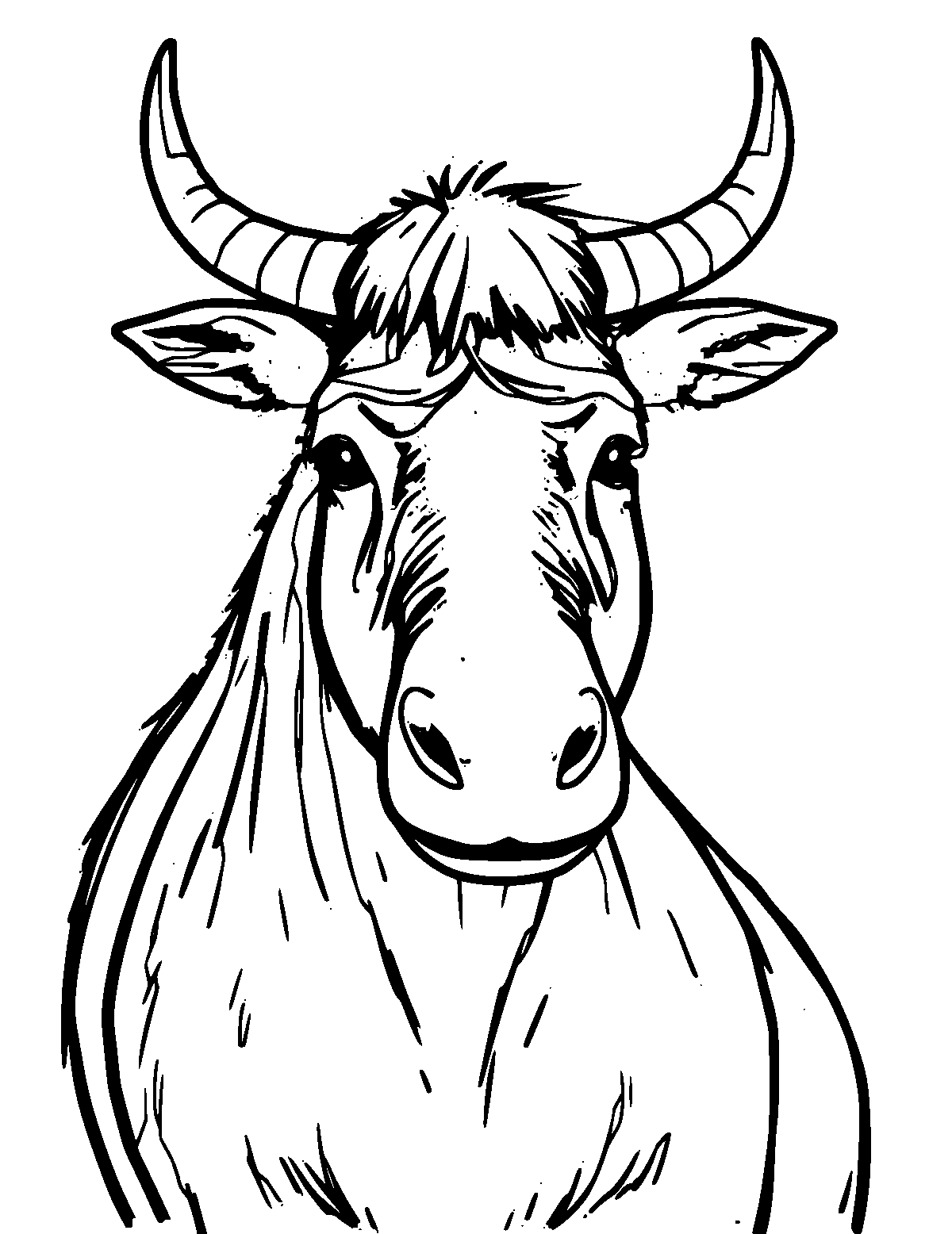 Line-art coloring page of Mule, medium outlines, centered
