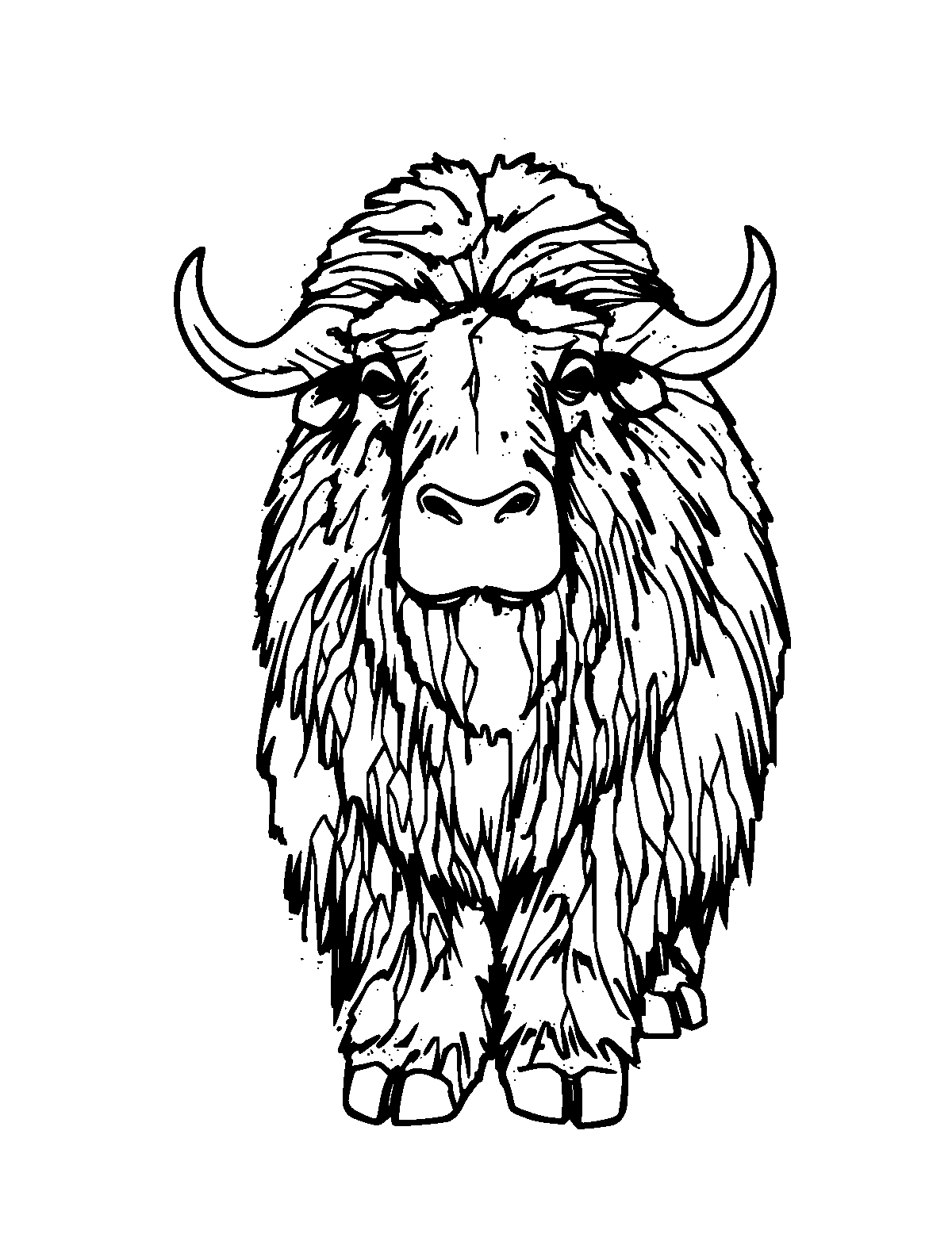 Line-art coloring page of Musk Ox, medium outlines, centered