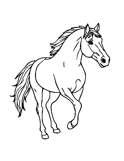Mustang Horse
