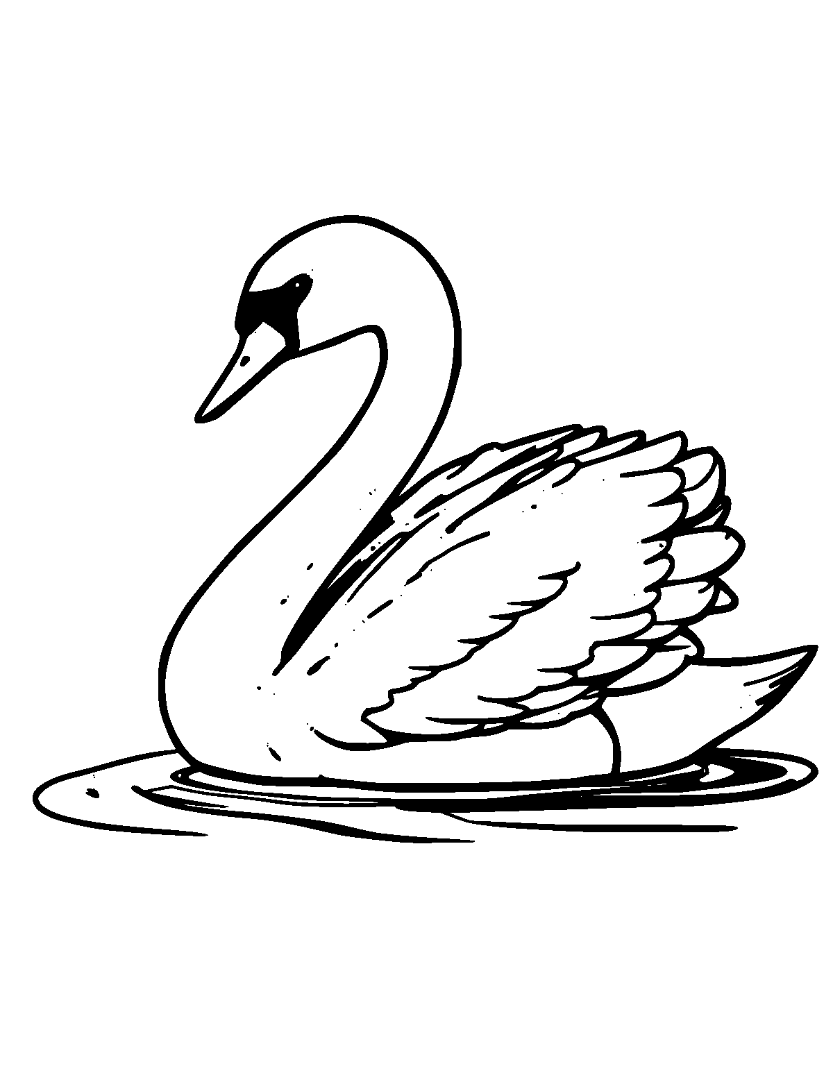 Line-art coloring page of Mute Swan, thick outlines, centered