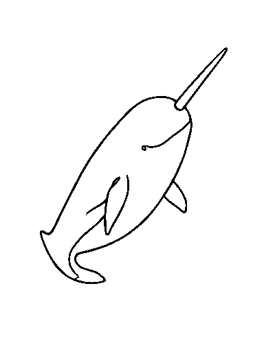Narwhal