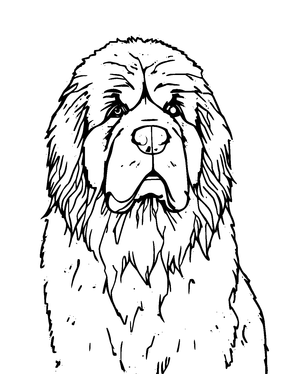 Line-art coloring page of Newfoundland Dog, medium outlines, centered