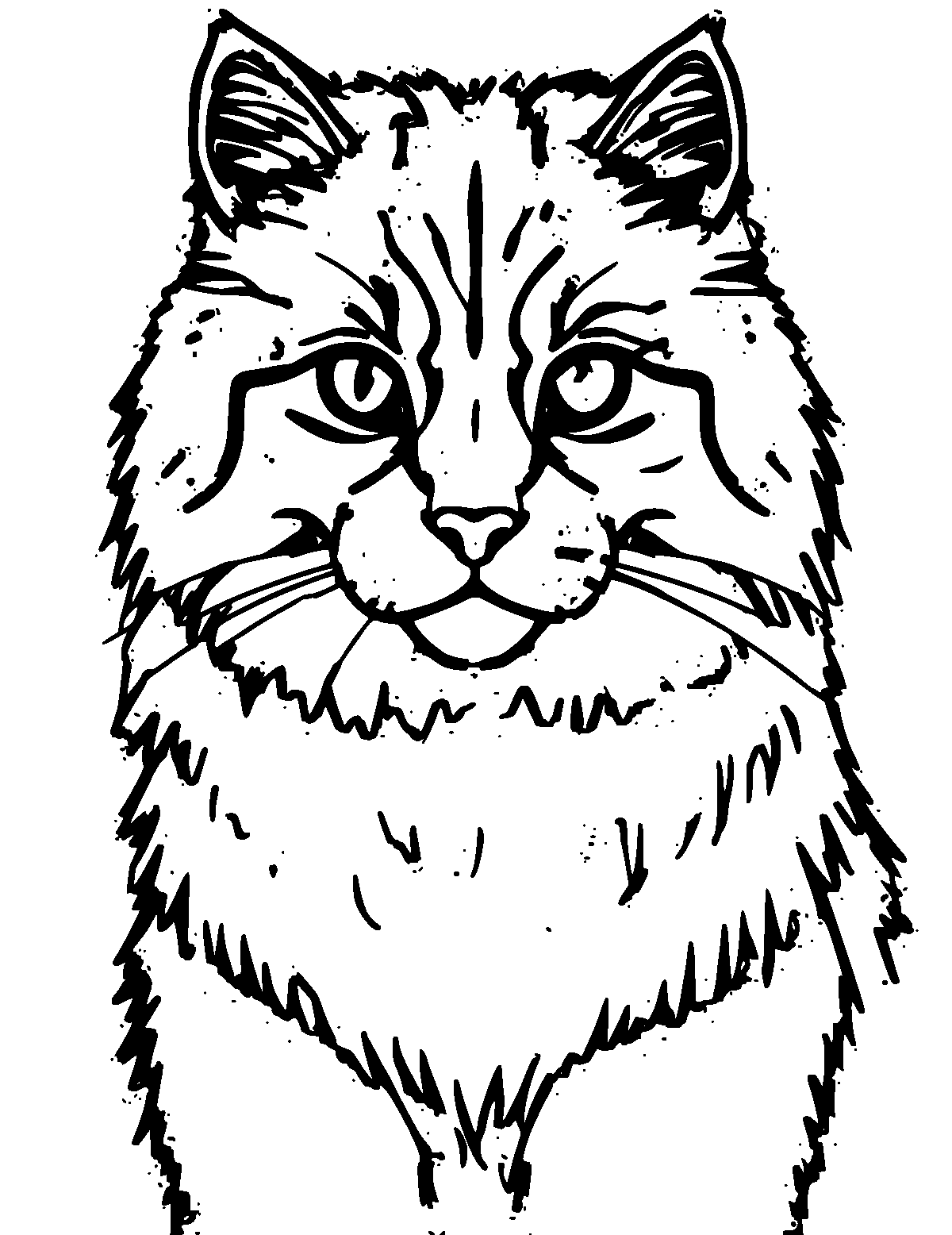 Line-art coloring page of Norwegian Forest Cat, thick outlines, centered