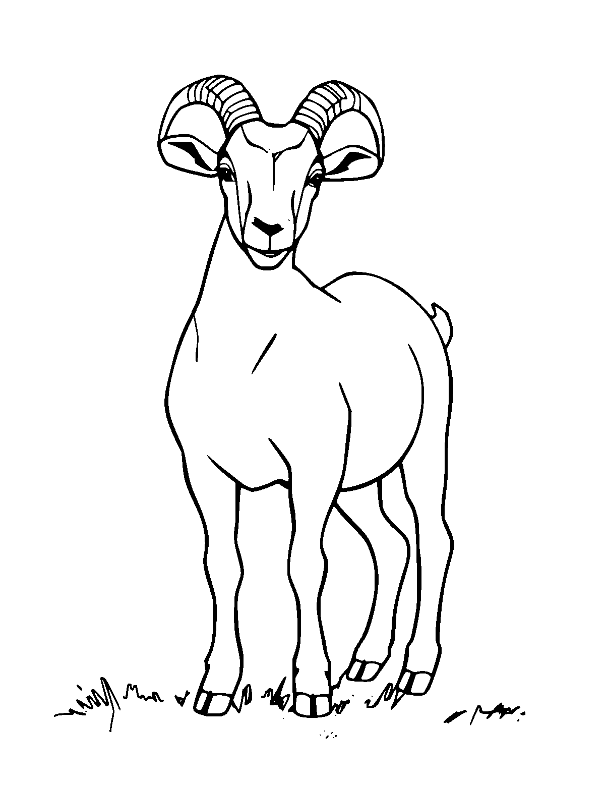 Line-art coloring page of Nubian Goat, medium outlines, centered