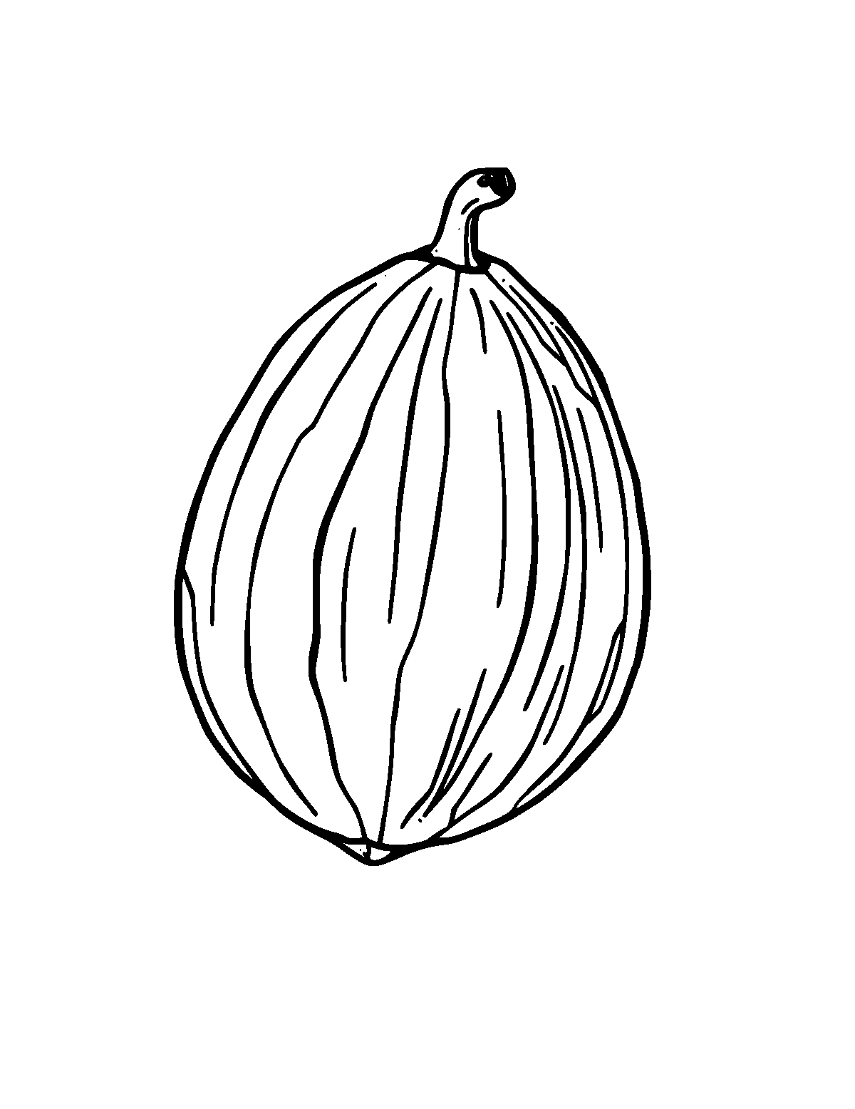 Line-art coloring page of Nut, medium outlines, centered