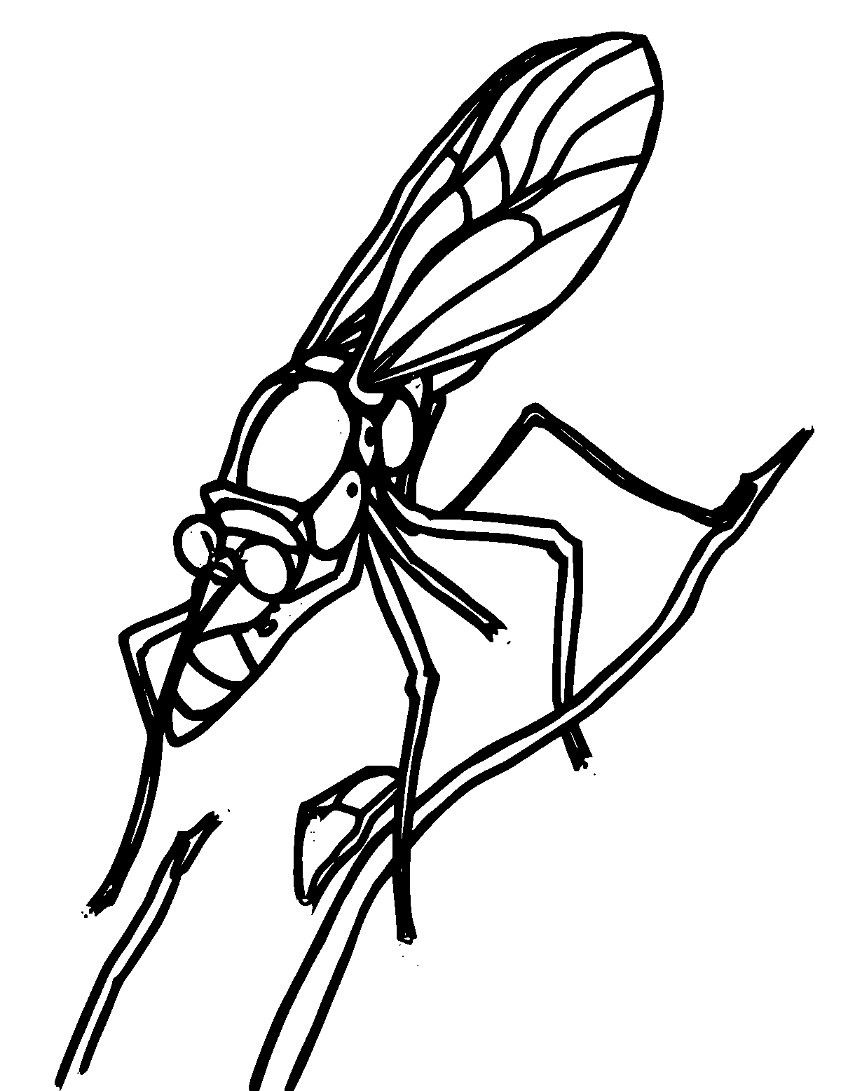 Line-art coloring page of Nymph, thick outlines, centered