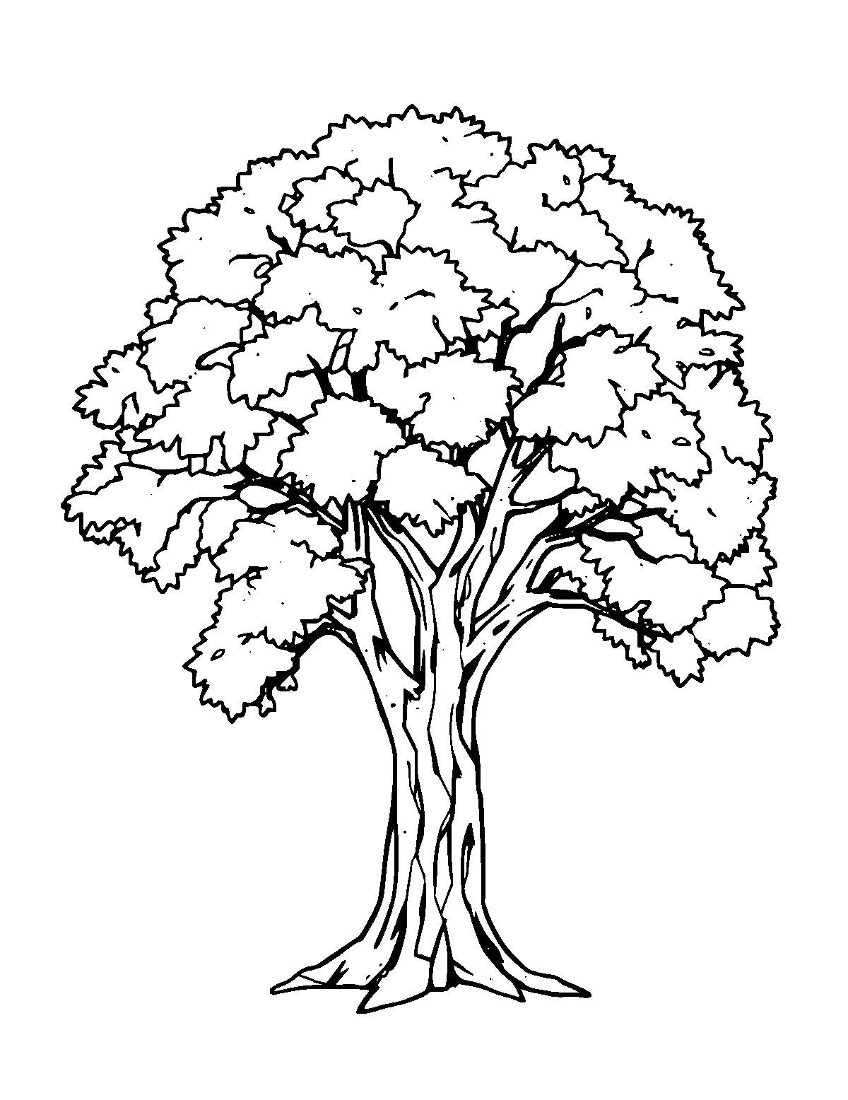 Line-art coloring page of Oak Tree, medium outlines, centered