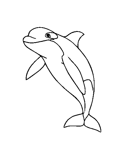 Orca