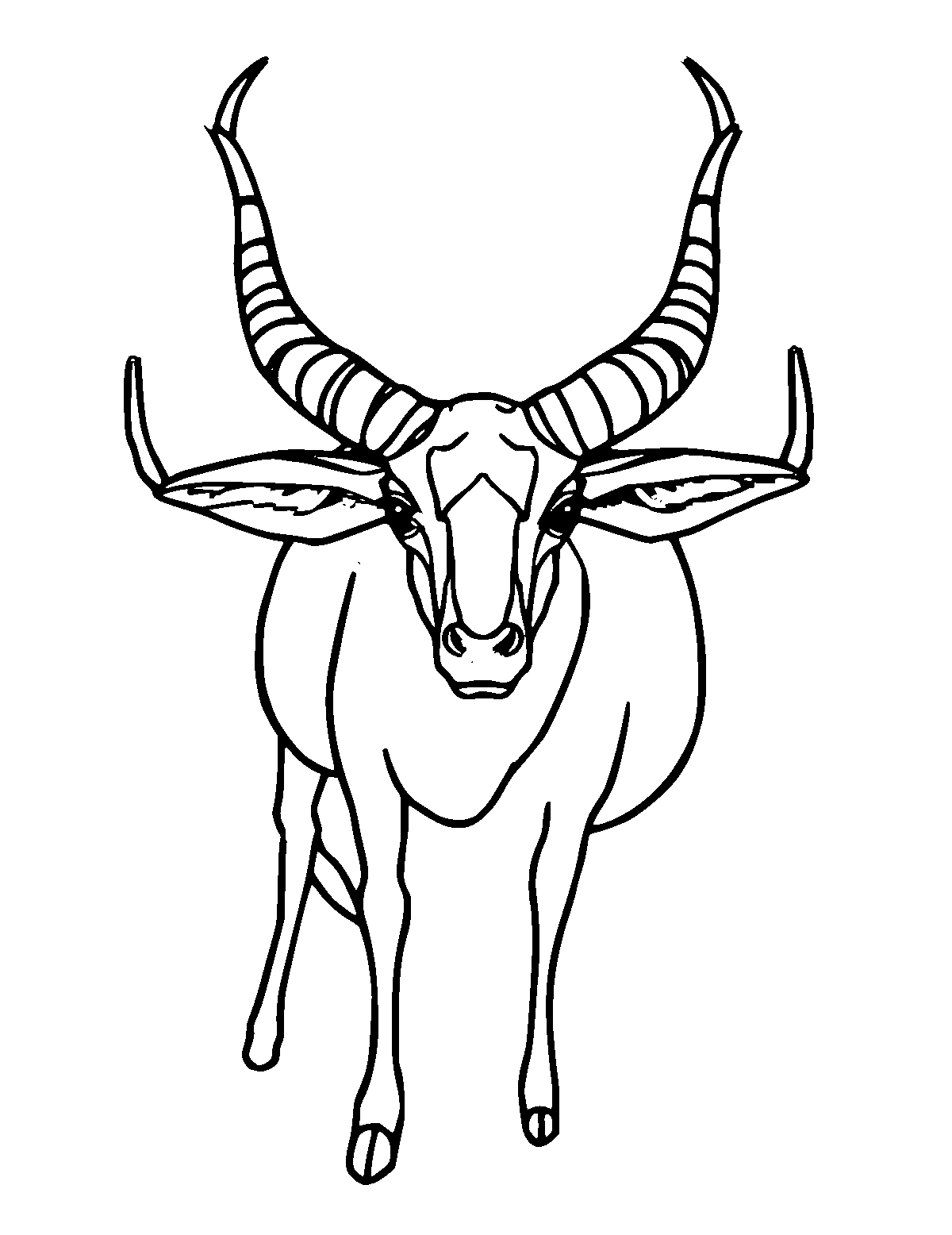 Line-art coloring page of Oryx, medium outlines, centered