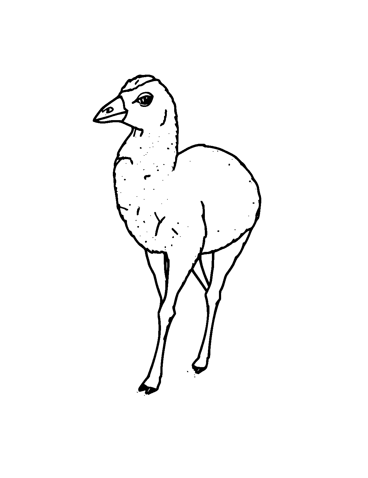 Line-art coloring page of Paca, medium outlines, centered