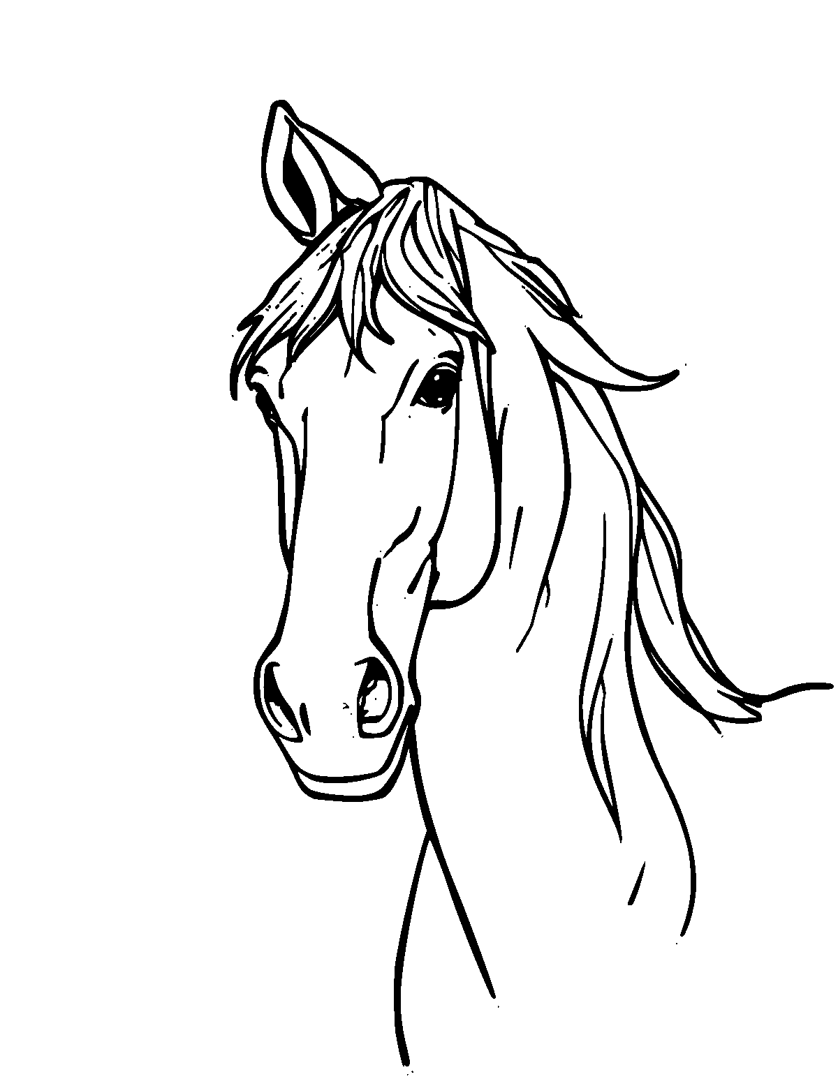 Line-art coloring page of Palomino Horse, medium outlines, centered