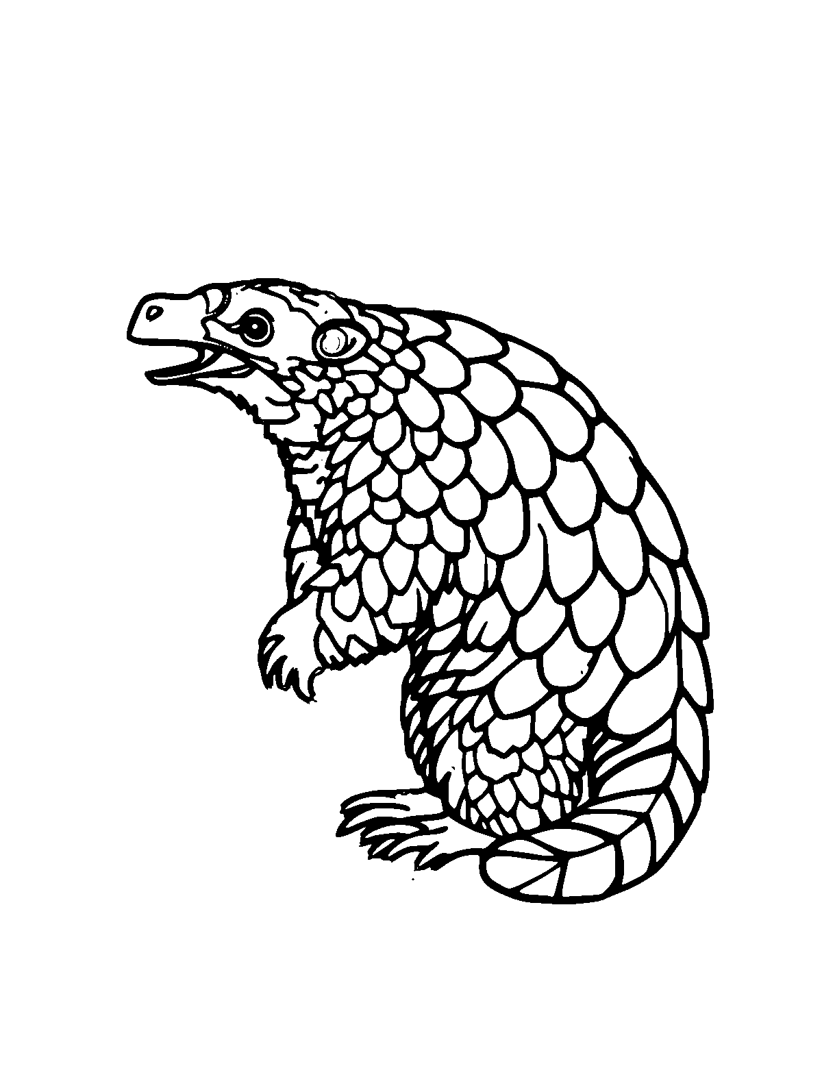 Line-art coloring page of Pangolin, medium outlines, centered