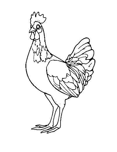 Peahen