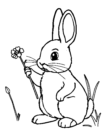Peter Rabbit