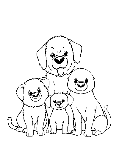 Pets