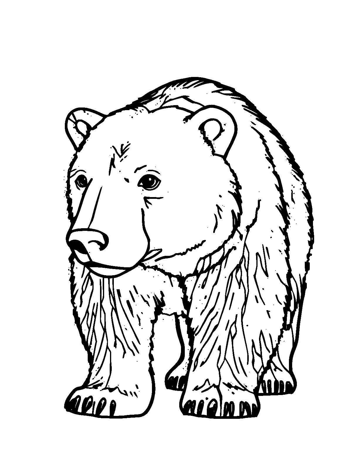 Line-art coloring page of Polar Bear, medium outlines, centered