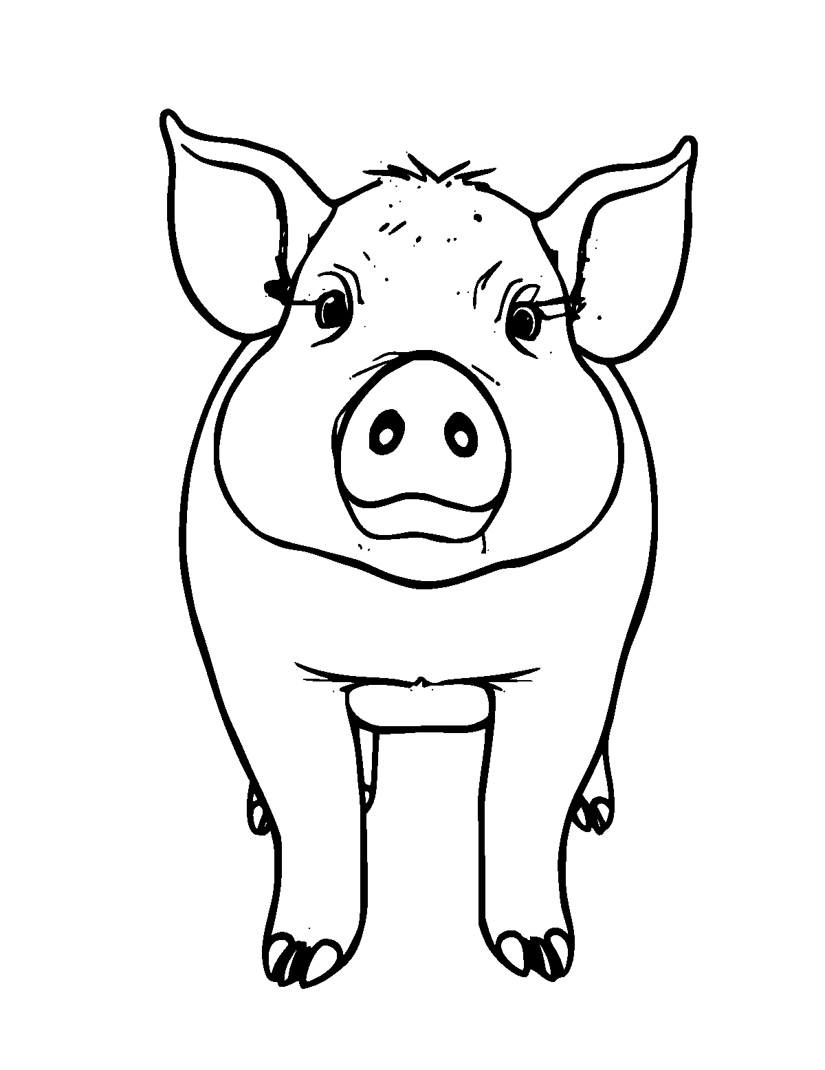 Line-art coloring page of Pot-Bellied Pig, thick outlines, centered
