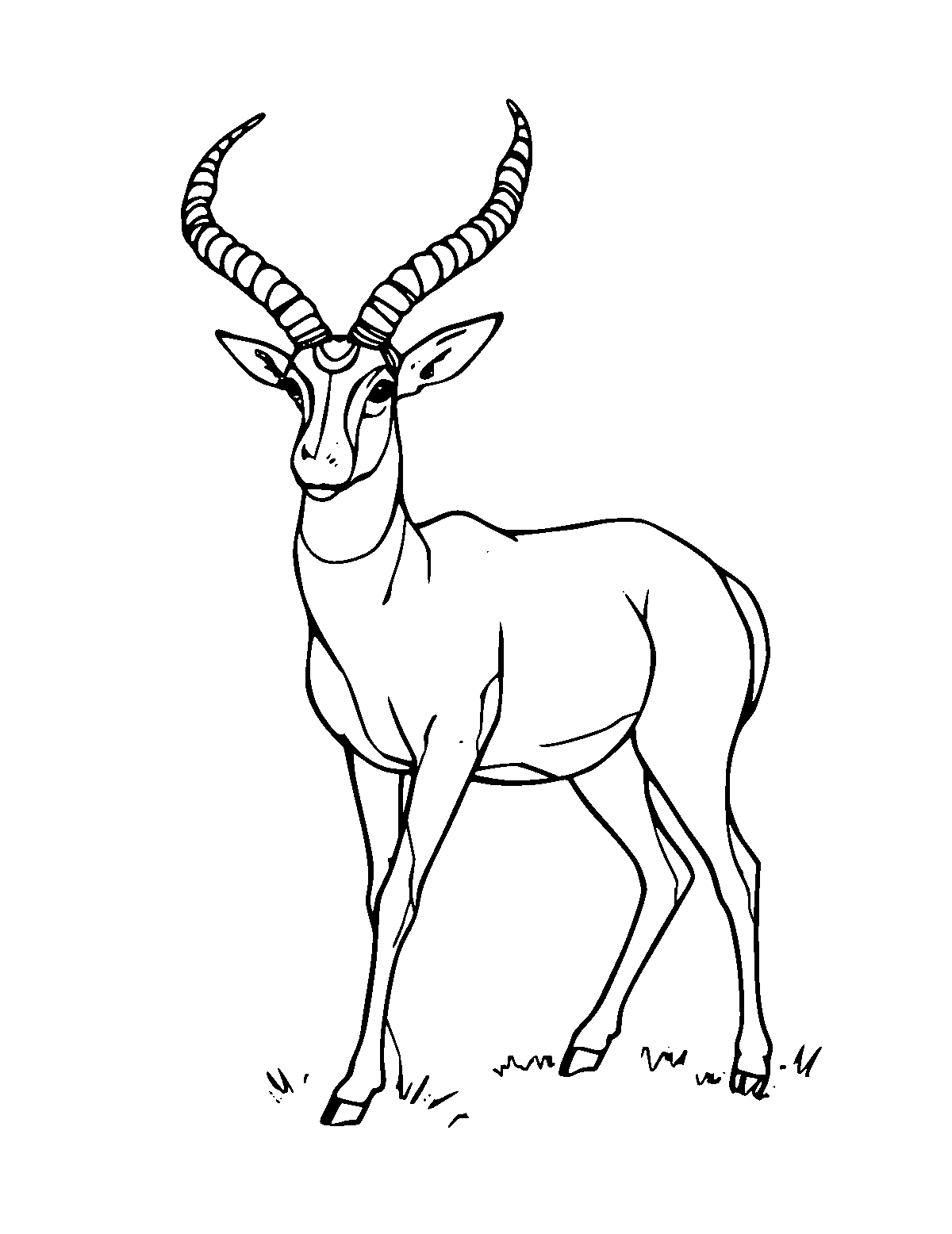 Line-art coloring page of Pronghorn, medium outlines, centered