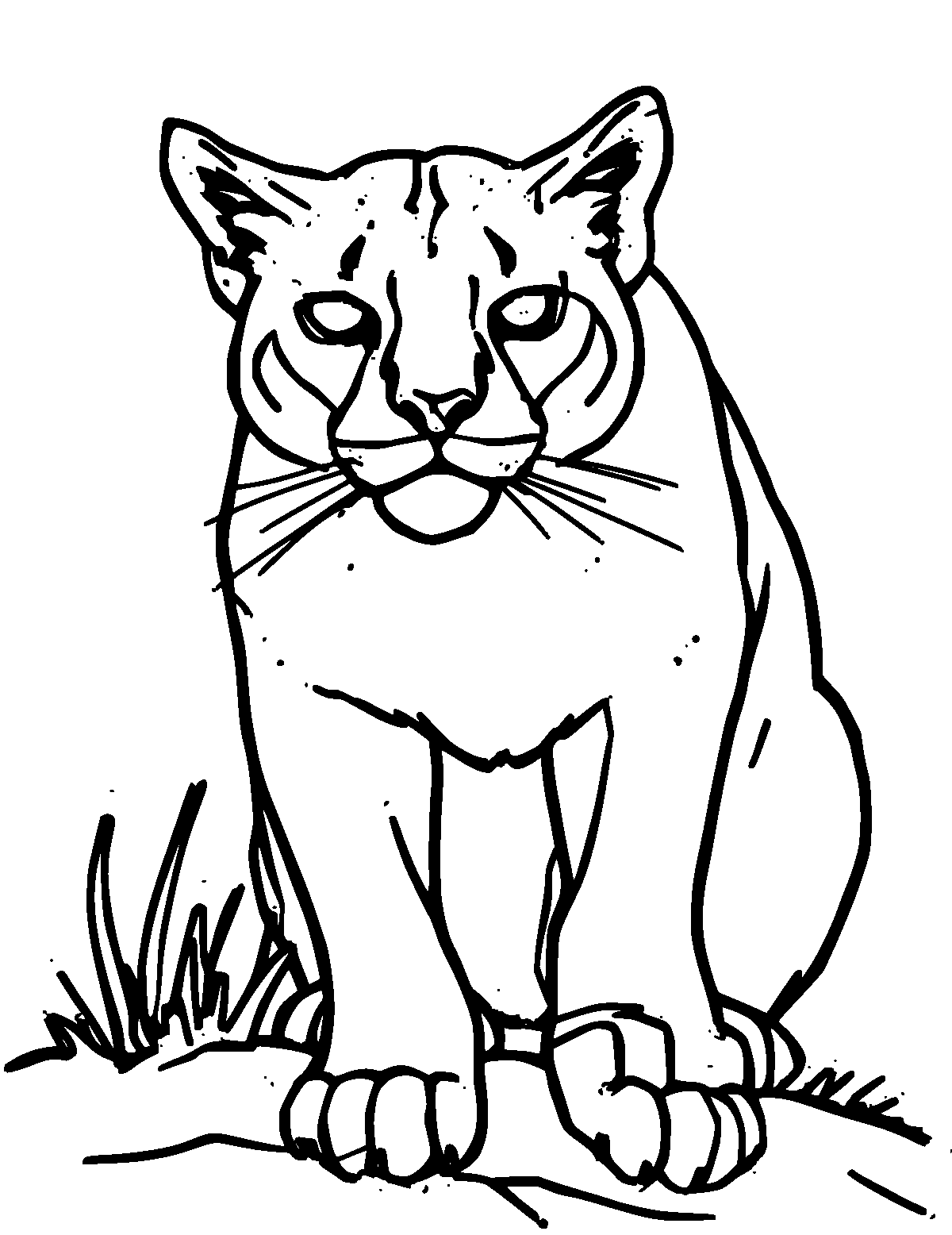 Line-art coloring page of Puma, thick outlines, centered