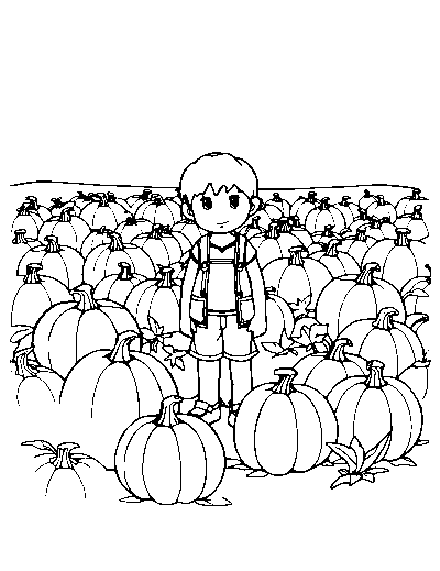 Pumpkin Patch