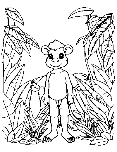Rainforest