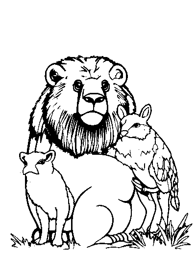 Realistic Animals