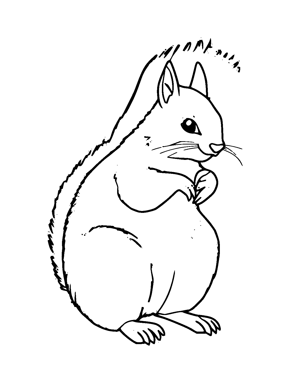 Line-art coloring page of Red Squirrel, medium outlines, centered