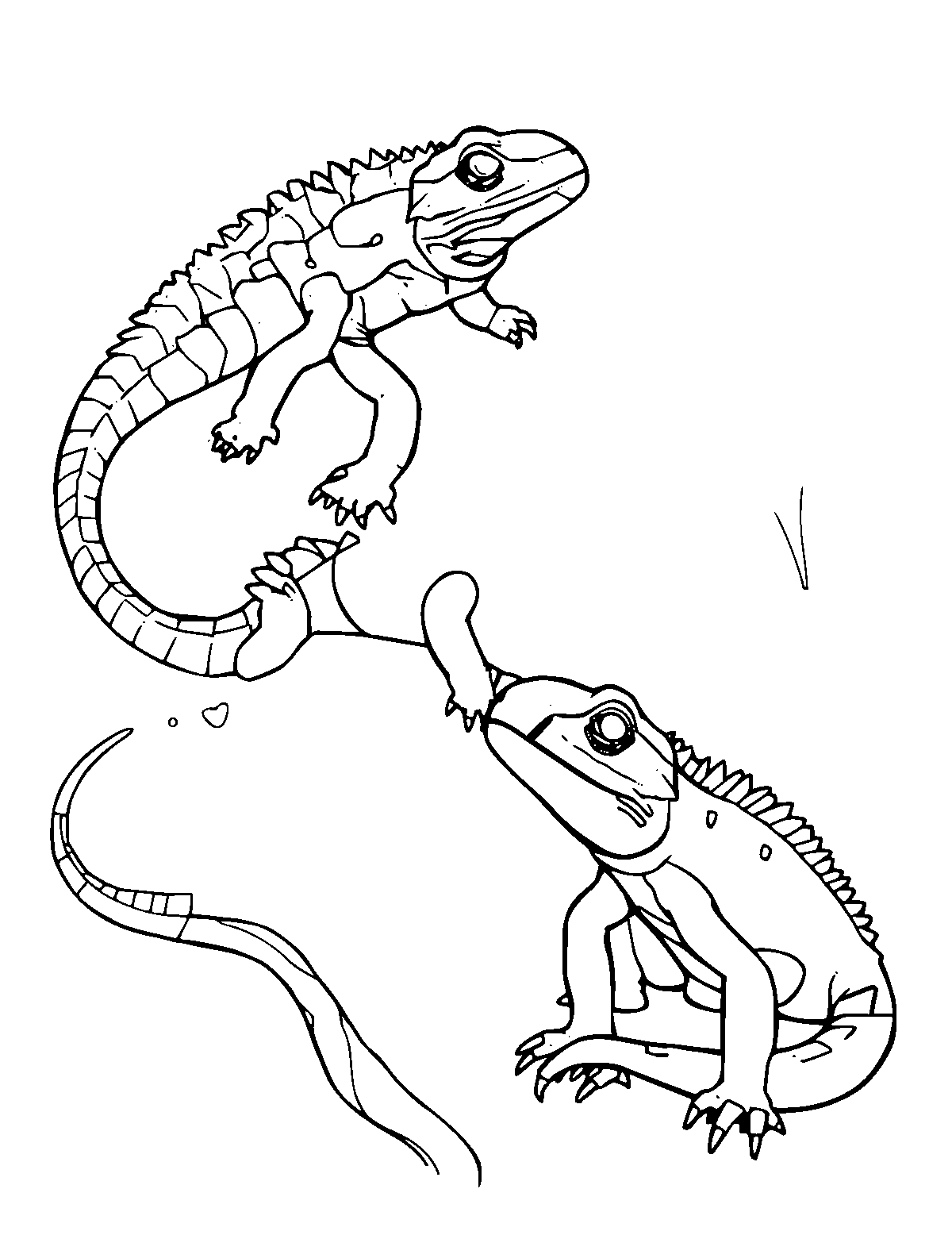 Line-art coloring page of Reptiles, medium outlines, centered