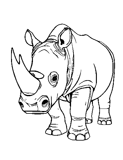 Rhino