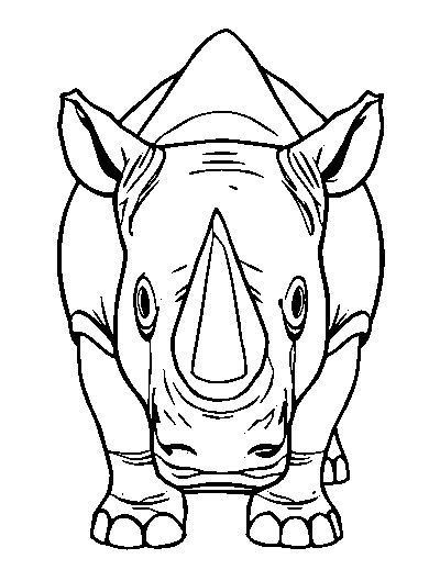 Rhinoceros