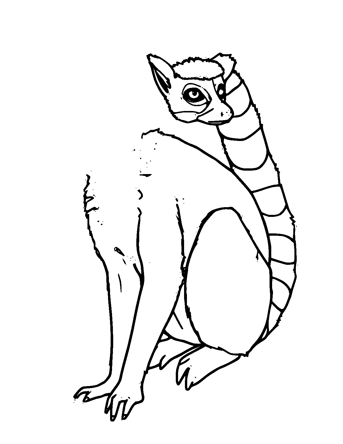 Line-art coloring page of Ring-Tailed Lemur, medium outlines, centered