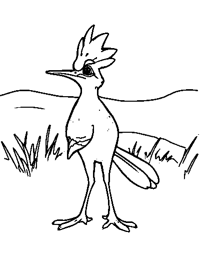 Roadrunner