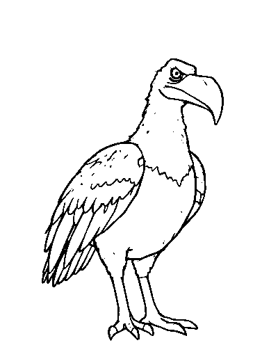 Roc the Giant Bird