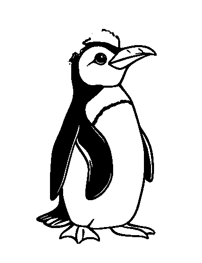 Rockhopper Penguin