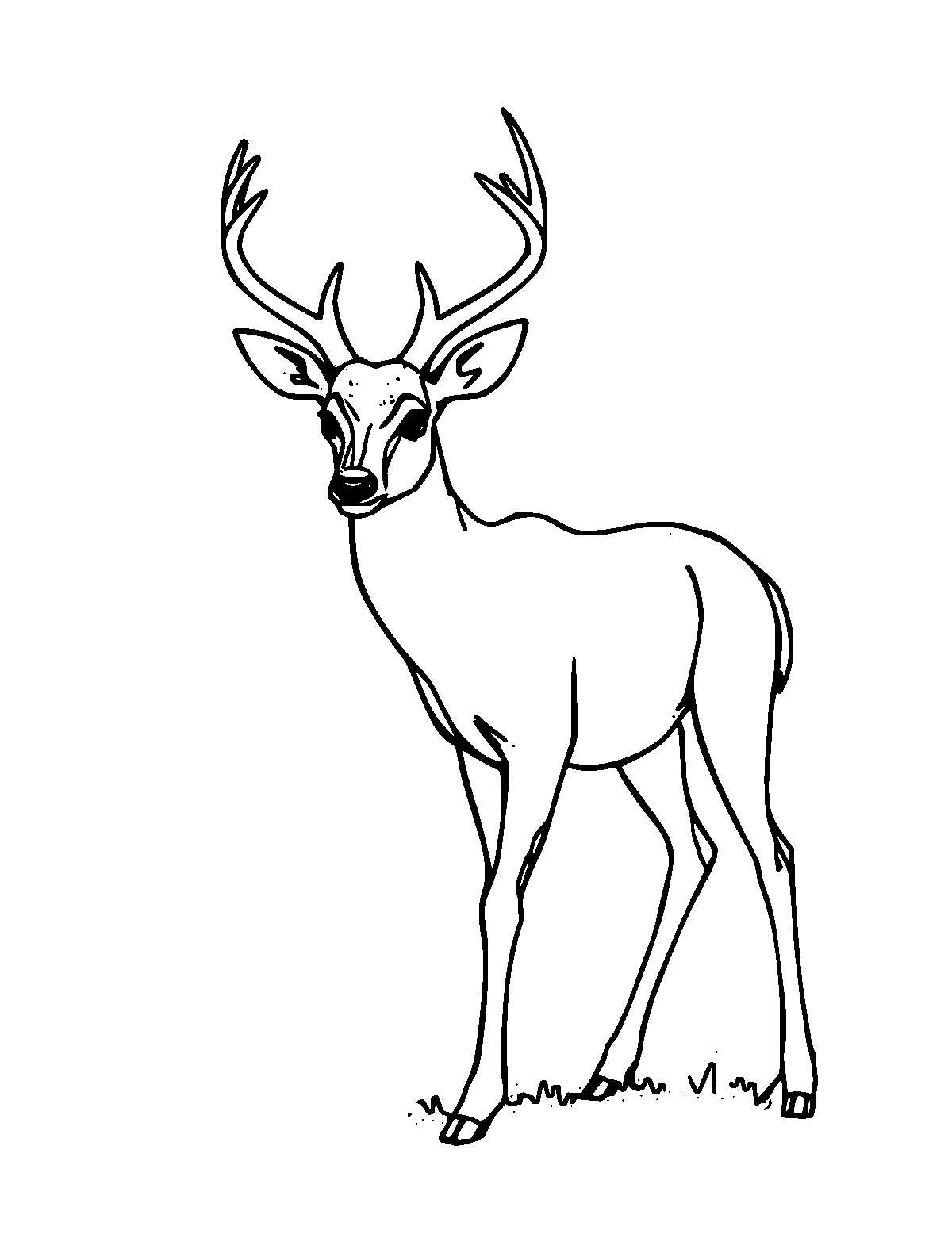 Line-art coloring page of Roe Deer, medium outlines, centered