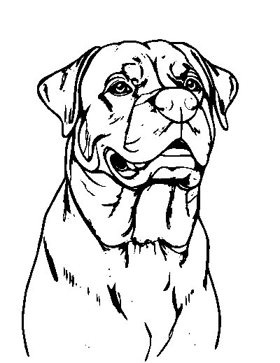 Rottweiler