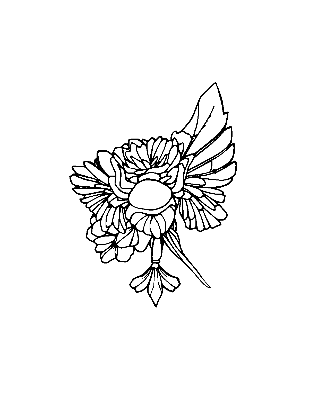 Line-art coloring page of Russian Blue, medium outlines, centered