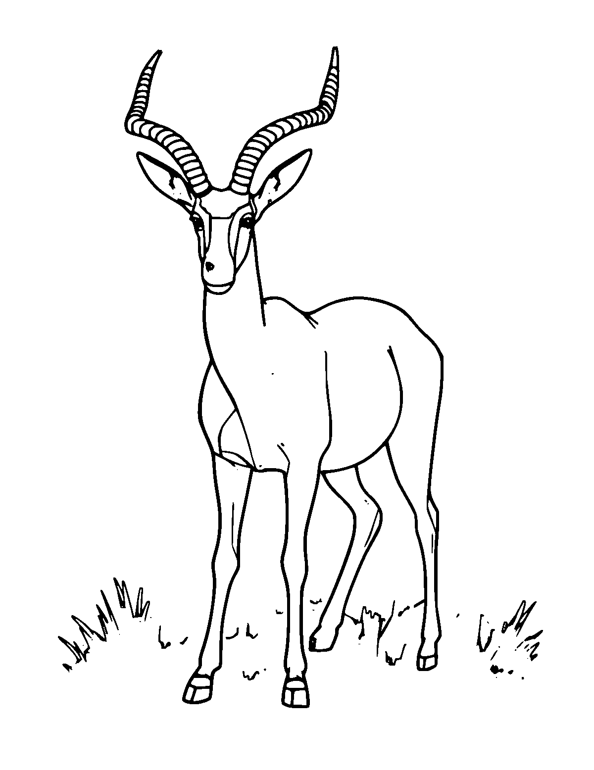 Line-art coloring page of Sable Antelope, medium outlines, centered