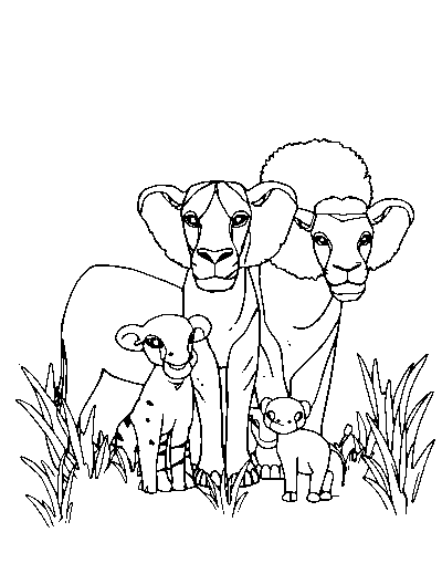 Safari Animals